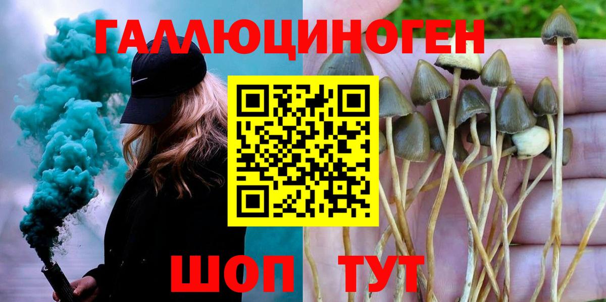 Галлюциногенные грибы мухоморы Бахчисарай